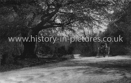 Road to the Village and Church, High Beech, Essex. c.1909